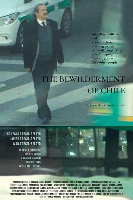 the bewilderment of chile
